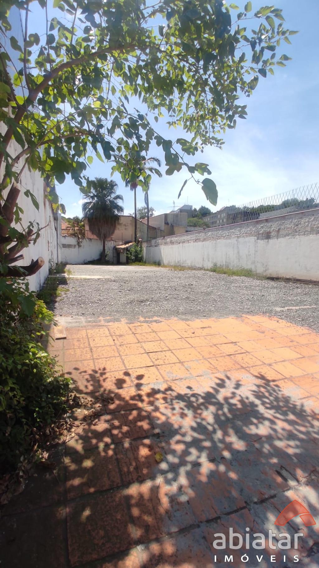 Alugar Terreno no bairro Instituto de Previdência na cidade de São Paulo-SP