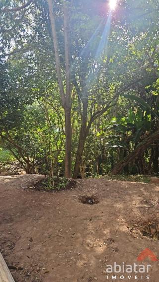 Foto 42